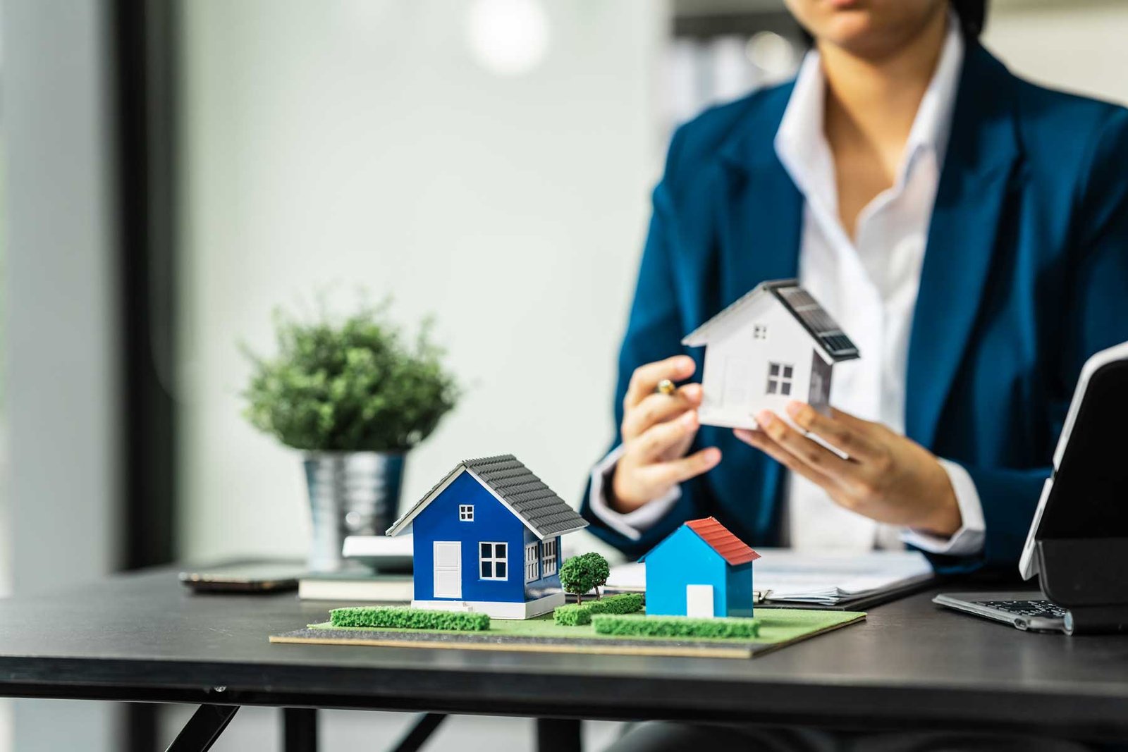 Comerzializacion porfesional en puebla